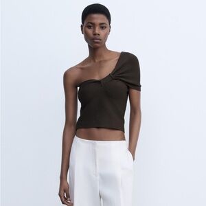 Zara Chocolate Brown Asymmetrical Knit Top - Small